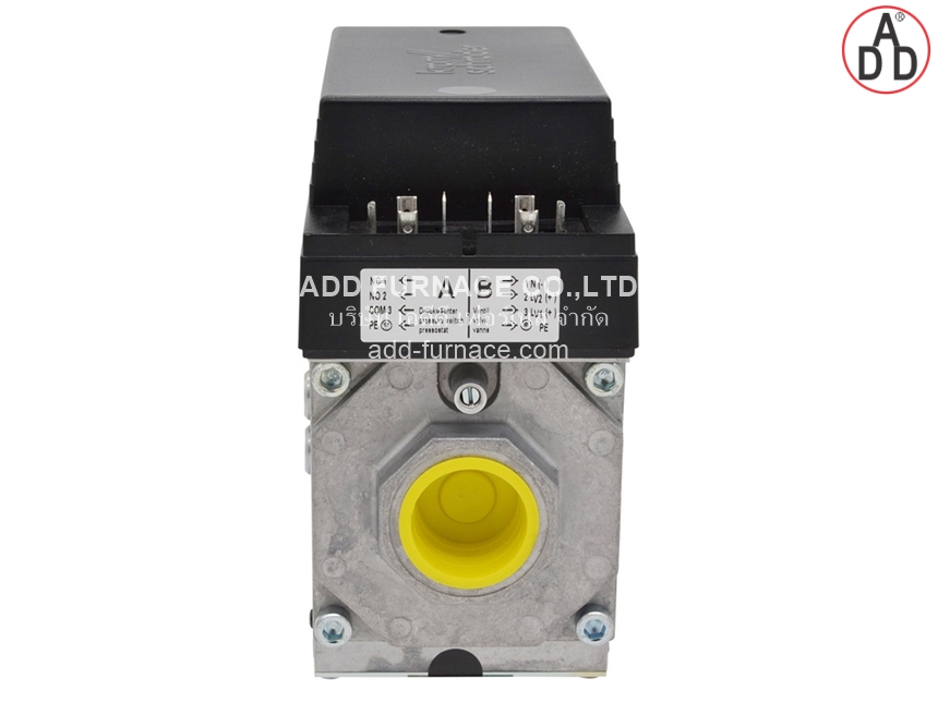 CG 225R01-ZT2WF1Z (5)